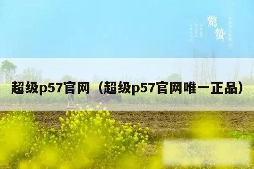 超级p57官网（超级p57官网唯一正品）