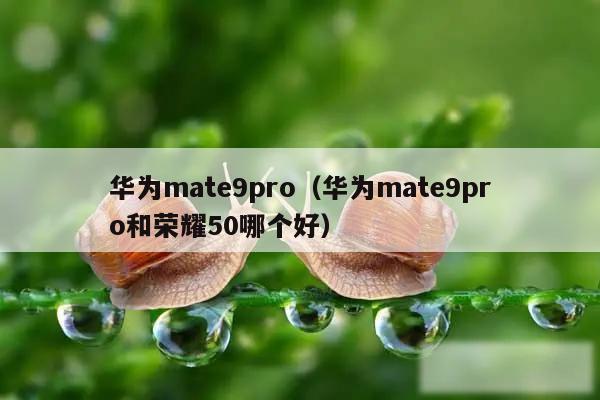 华为mate9pro（华为mate9pro和荣耀50哪个好）