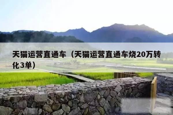 天猫运营直通车（天猫运营直通车烧20万转化3单）