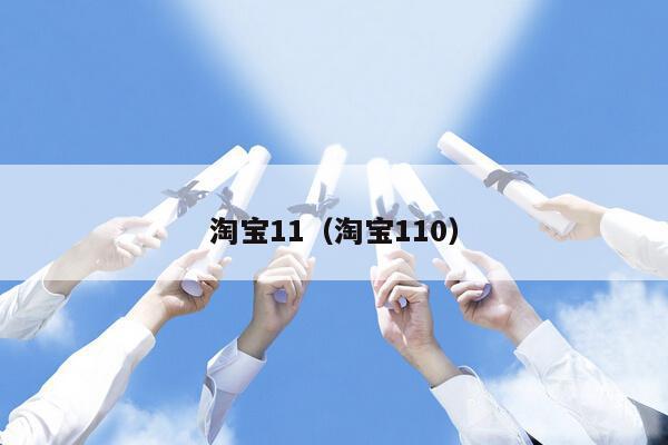 淘宝11（淘宝110）