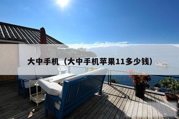 大中手机（大中手机苹果11多少钱）