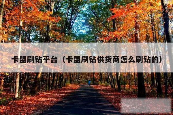 卡盟刷钻平台（卡盟刷钻供货商怎么刷钻的）