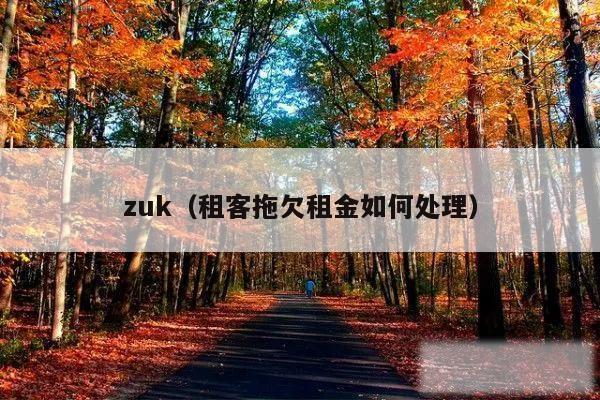 zuk（租客拖欠租金如何处理）