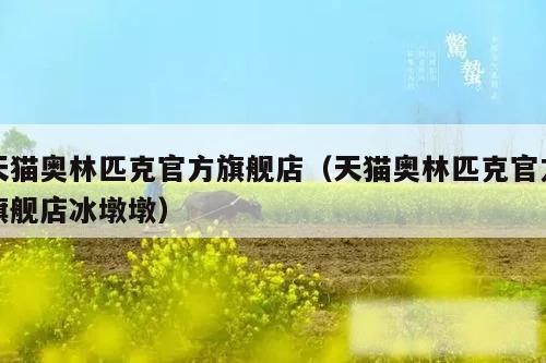 天猫奥林匹克官方旗舰店（天猫奥林匹克官方旗舰店冰墩墩）
