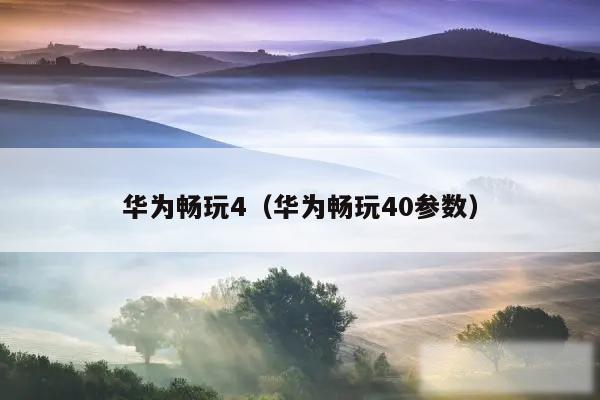 华为畅玩4（华为畅玩40参数）