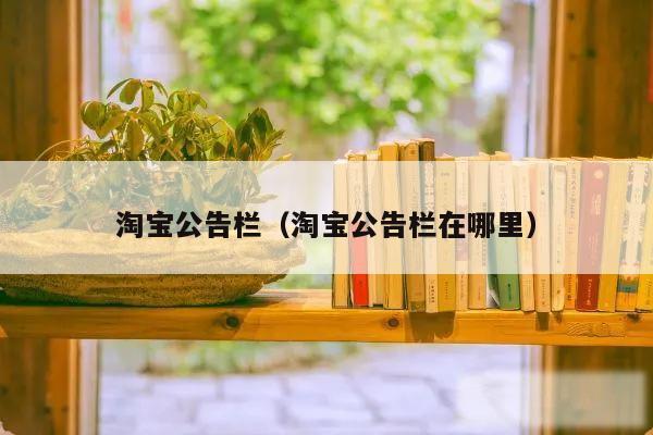 淘宝公告栏（淘宝公告栏在哪里）