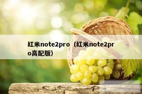 红米note2pro（红米note2pro高配版）