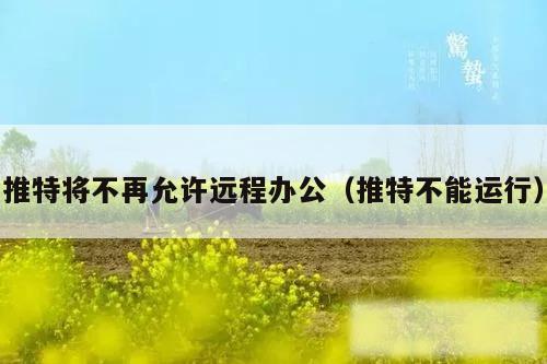 推特将不再允许远程办公（推特不能运行）