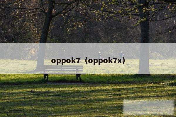 oppok7（oppok7x）