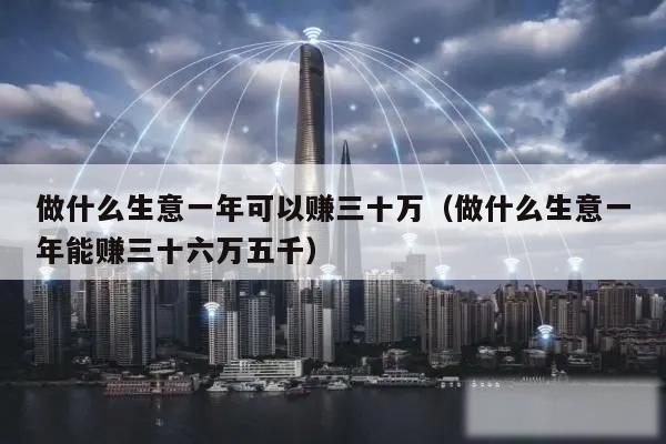 做什么生意一年可以赚三十万（做什么生意一年能赚三十六万五千）