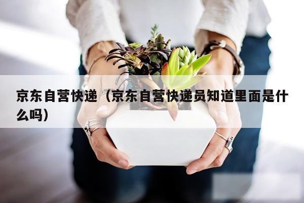 京东自营快递（京东自营快递员知道里面是什么吗）
