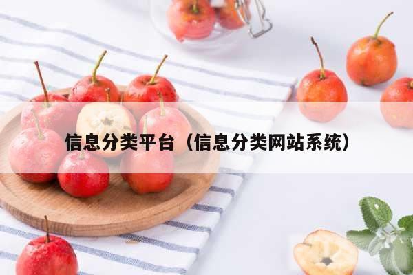 信息分类平台（信息分类网站系统）