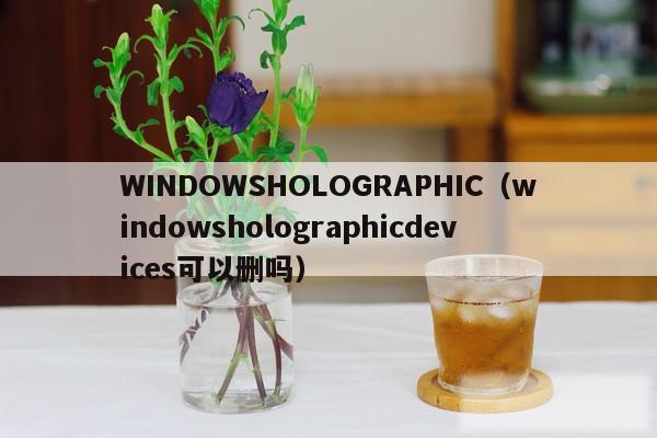 WINDOWSHOLOGRAPHIC（windowsholographicdevices可以删吗）