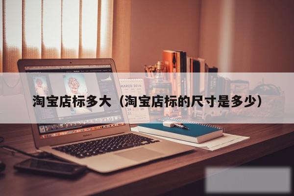 淘宝店标多大（淘宝店标的尺寸是多少）
