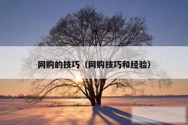 网购的技巧（网购技巧和经验）