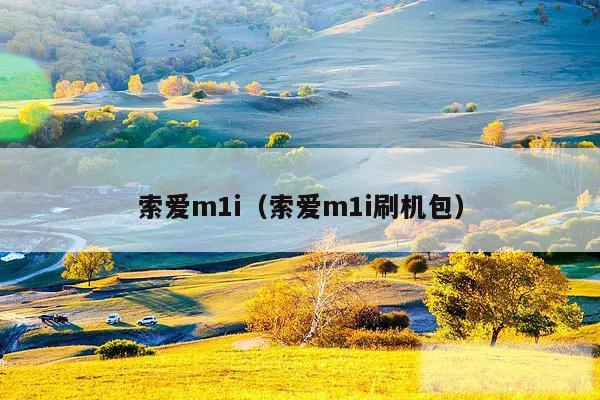 索爱m1i（索爱m1i刷机包）