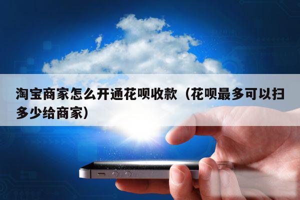 淘宝商家怎么开通花呗收款（花呗最多可以扫多少给商家）