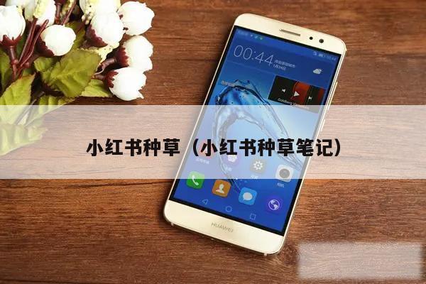 小红书种草（小红书种草笔记）