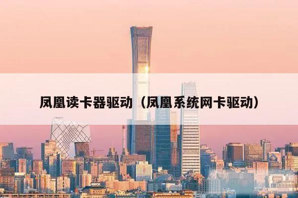 凤凰读卡器驱动（凤凰系统网卡驱动）