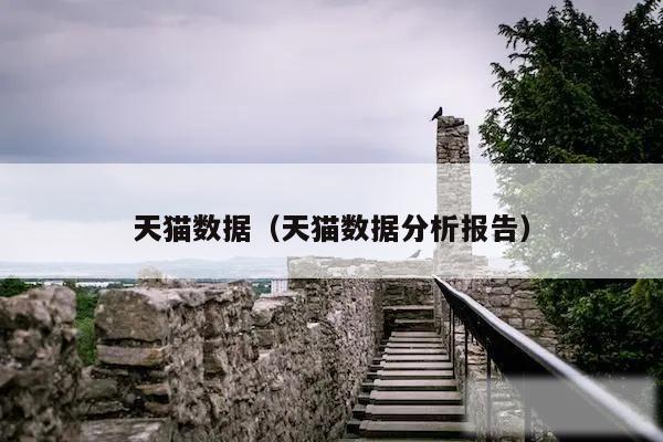 天猫数据（天猫数据分析报告）