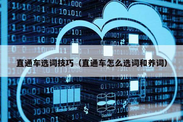 直通车选词技巧（直通车怎么选词和养词）