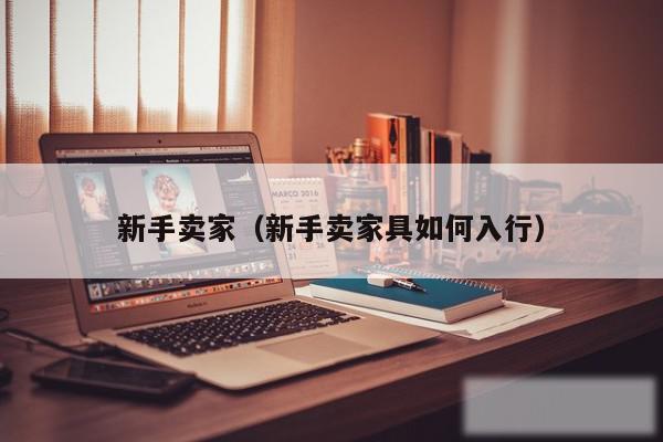 新手卖家（新手卖家具如何入行）