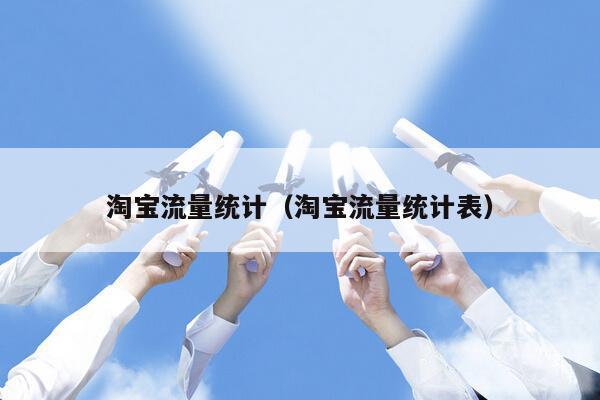 淘宝流量统计（淘宝流量统计表）