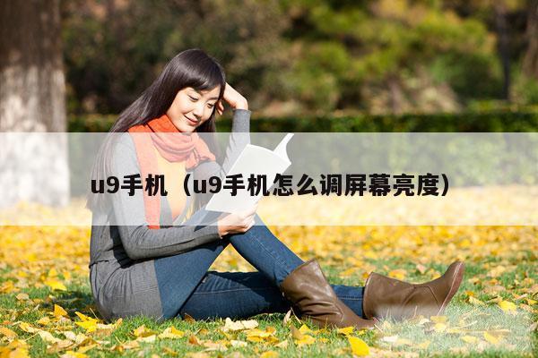 u9手机（u9手机怎么调屏幕亮度）