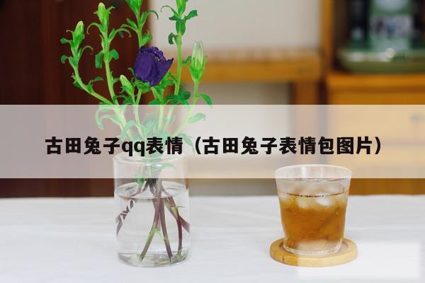 古田兔子qq表情（古田兔子表情包图片）
