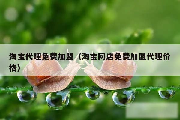 淘宝代理免费加盟（淘宝网店免费加盟代理价格）