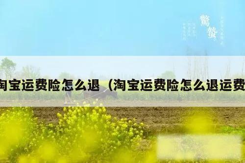 淘宝运费险怎么退（淘宝运费险怎么退运费）