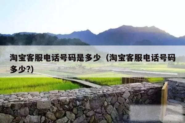 淘宝客服电话号码是多少（淘宝客服电话号码多少?）