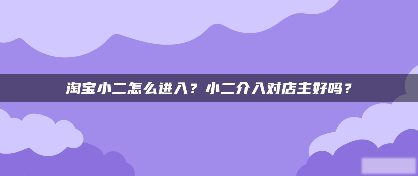 淘宝小二怎么进入?小二介入对店主好吗? 淘宝小二怎么进入?小二介入对店主好吗?